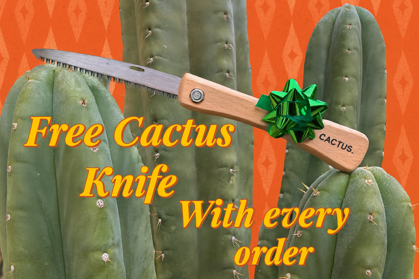 Cactus. Knife