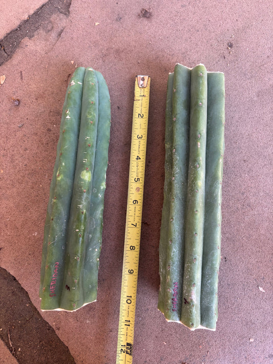 NZ pach “Sheridan” 2pak (#3 & #4)